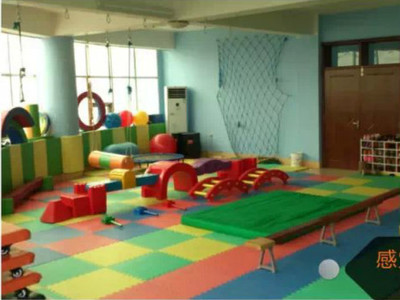青岛胶州市童飞自闭症儿童研究中心